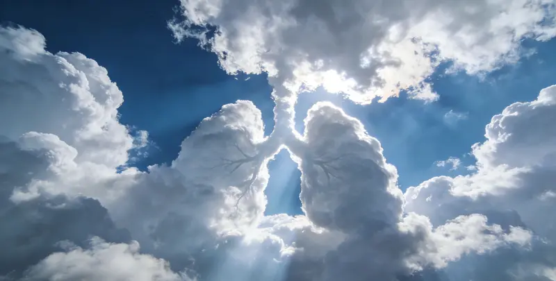 永州肺癌12基因ctDNA突变检测(血液）图片1