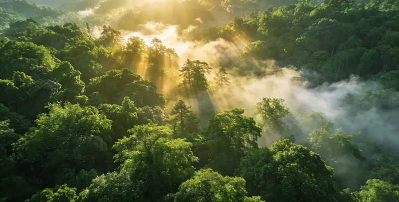 永州肺癌68基因检测图片1
